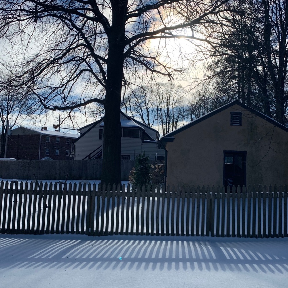 Meet your Posher, Marilyn